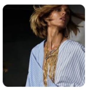 NWT Zara Long Swallow Neclace